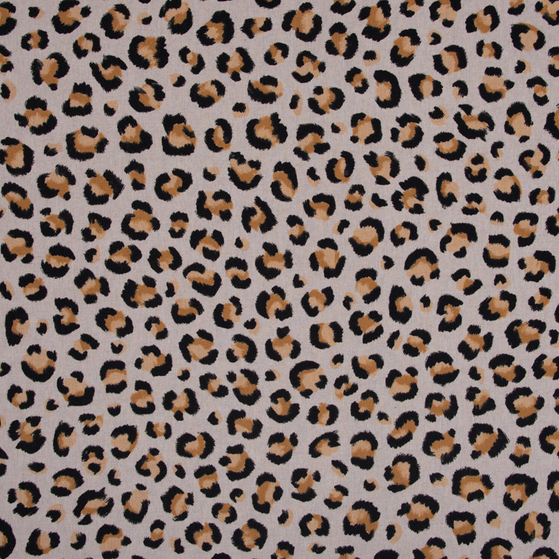 Leichter Canvas LEO